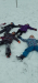 20211210_085723_800x369